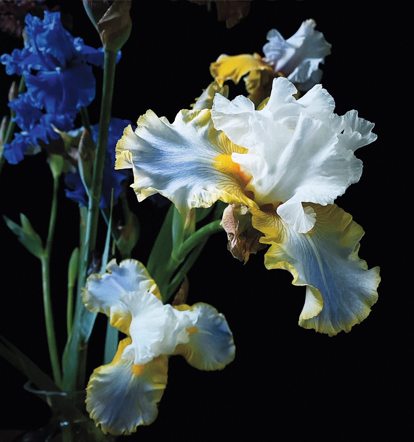 MJ Harper Katy England Benjamin A Huseby Charlie Gosling