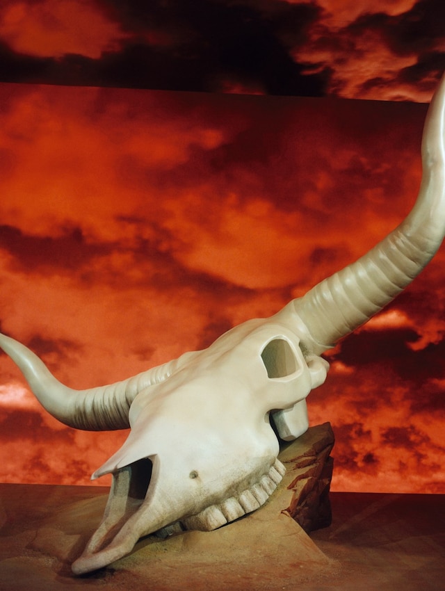 Travis Scott AnOther cover story Dior collection show collab