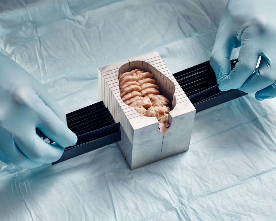 Slip Me the Master Key by Thomas Prior