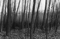 Peter Hujar: The Gracie Mansion Show Revisited